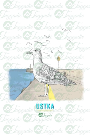 White bag seagull Ustka